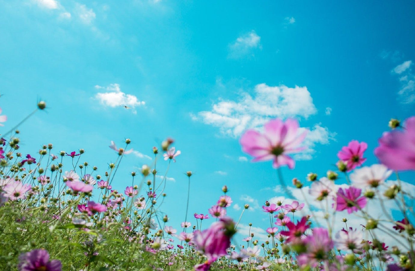 Three Must-Have Looks For Spring 2021