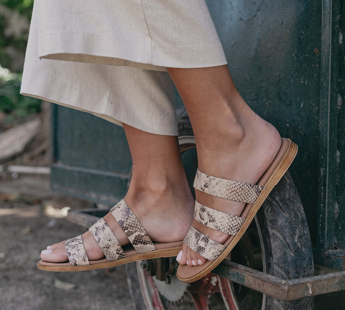 Tavernes Beige Snake