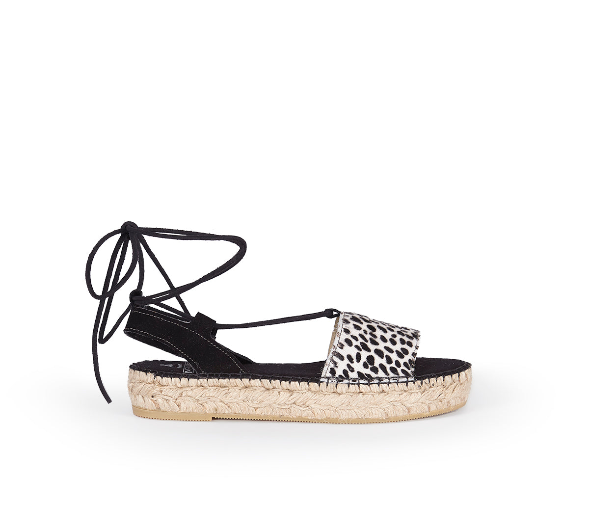 Javea Dalmatian Haircalf