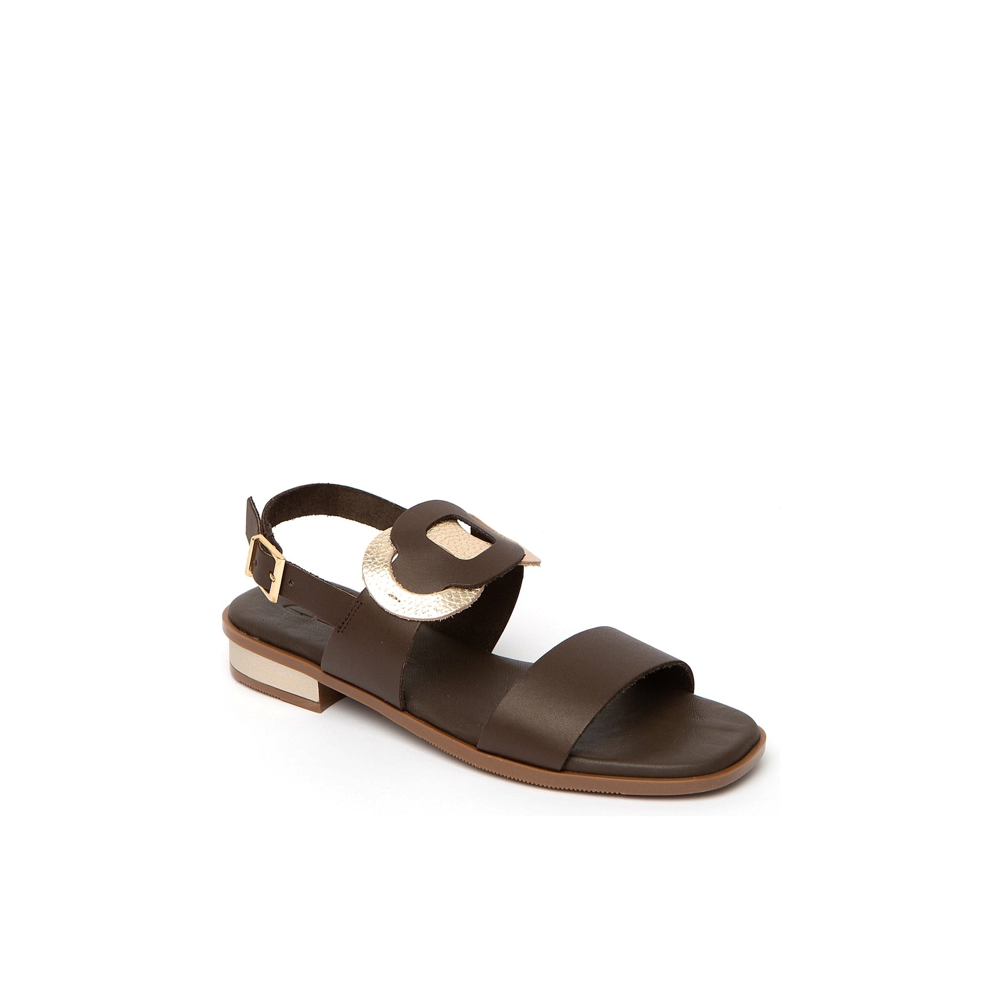 Cala Chestnut