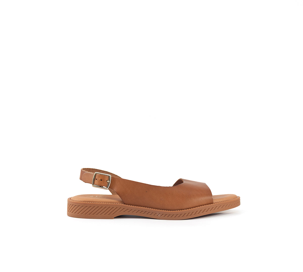 Adela Camel