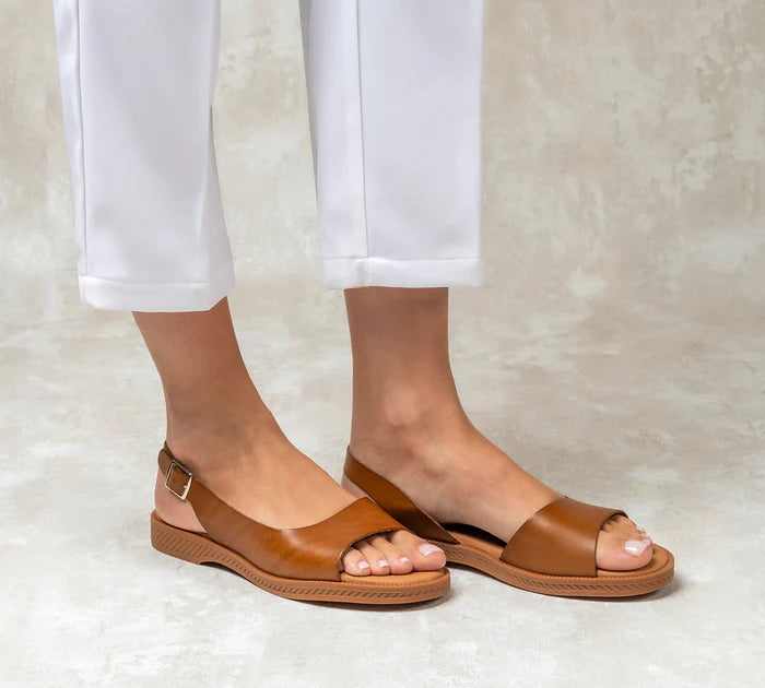 Adela Camel