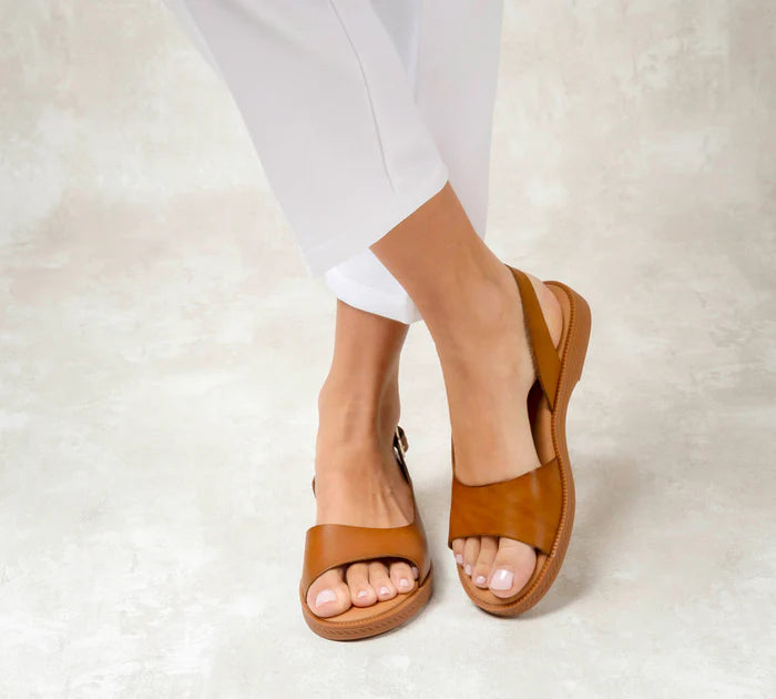 Adela Camel