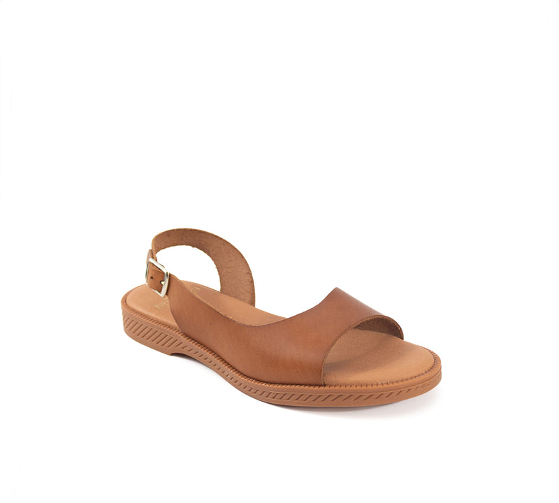 Adela Camel