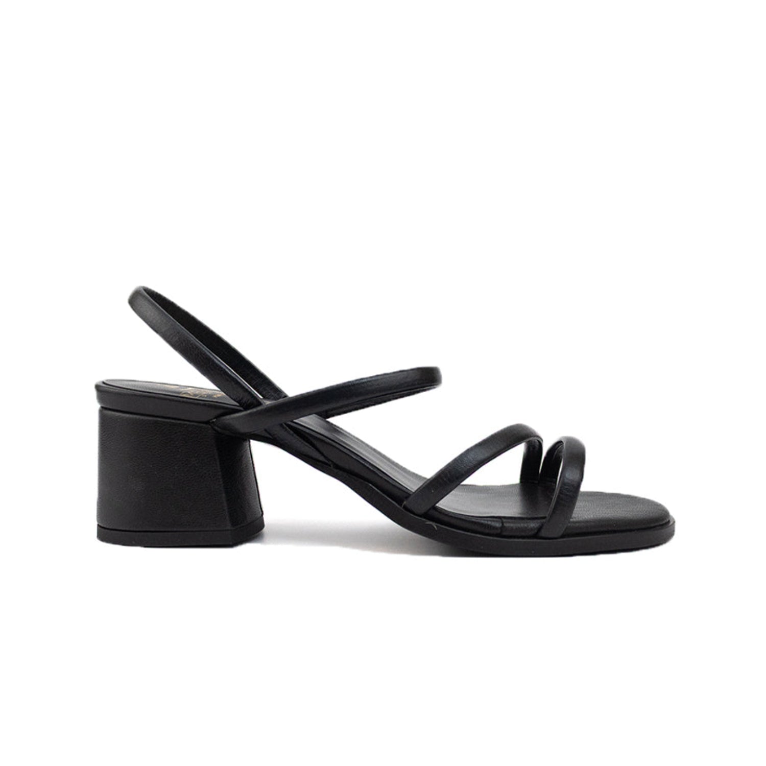 Romina Black