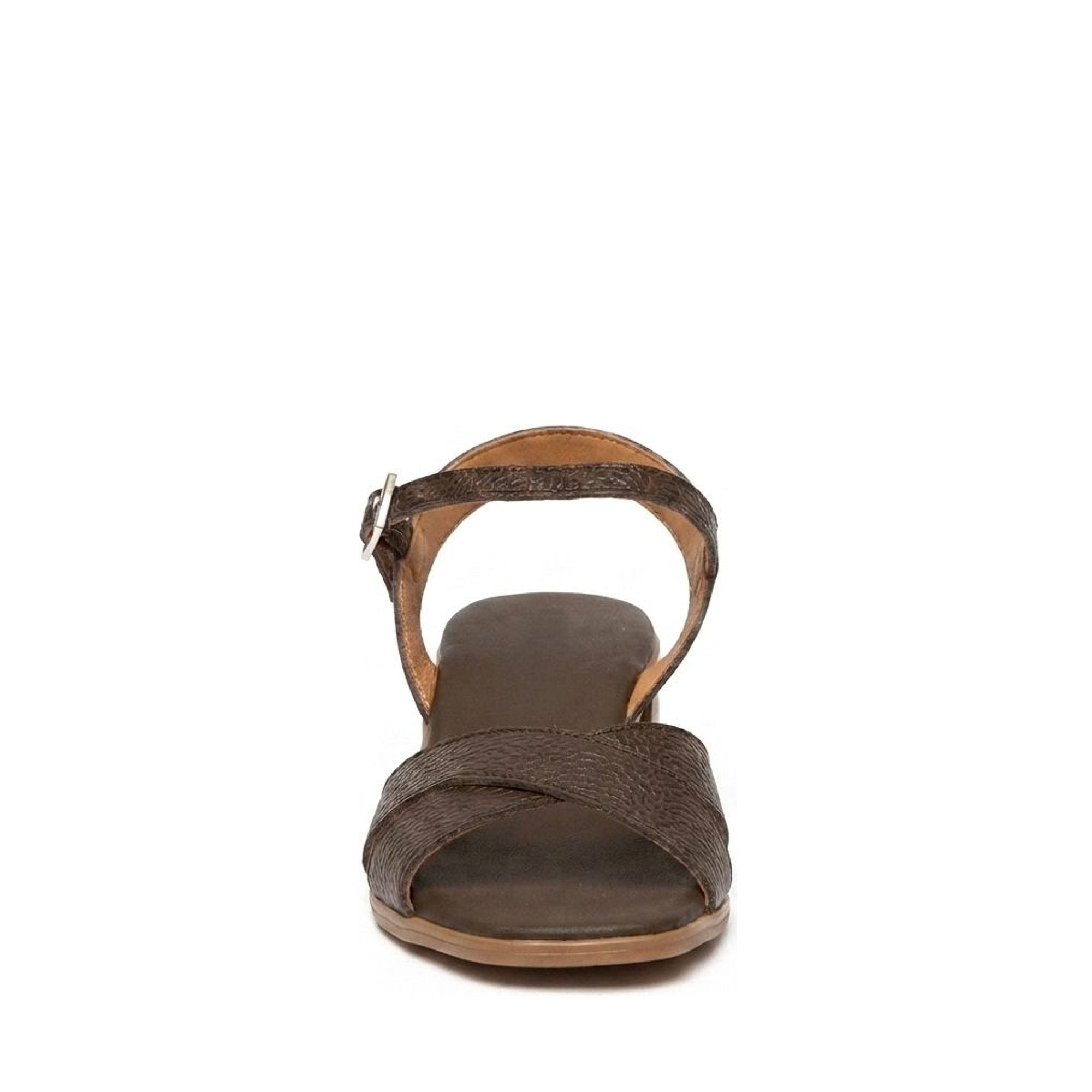 Celia Chestnut