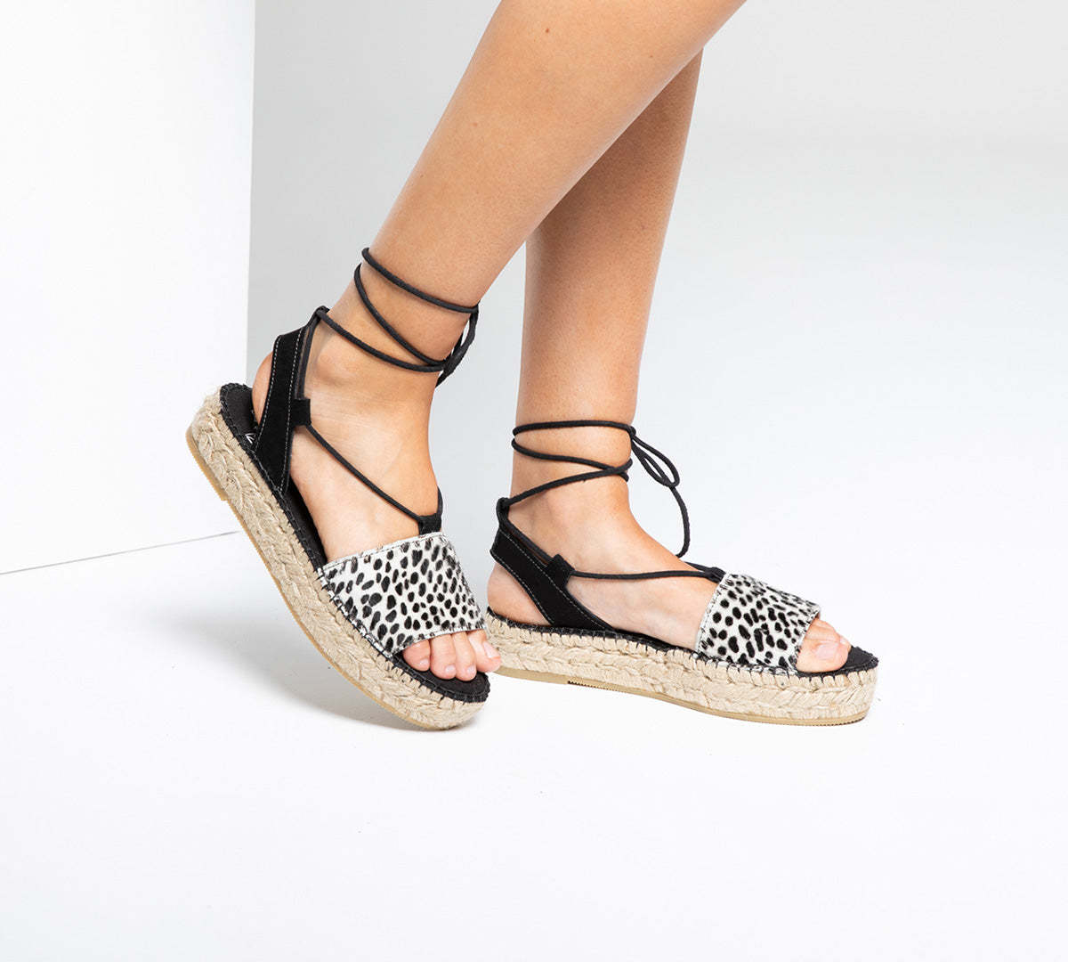 Javea Dalmatian Haircalf